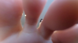 【GTS VR】校花学姐的鞋中奴-97LZTD-450901