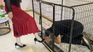 人形犬系列第一集：迷晕流浪狗，强迫虐打，踩喉咙窒息玩虐（地下室）YC-250707-4-97LZTD-450902