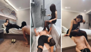 【贺贺】被主人酒瓶子砸头-97LZTD-146547