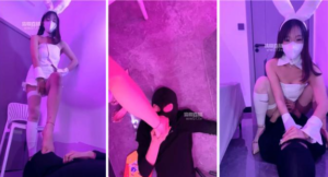 【白鹭】开发兔女郎做S-97LZTD-36600