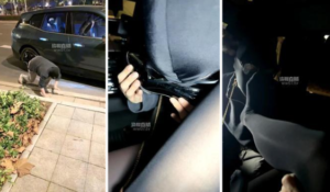 【水晶熊】黑丝美腿诱惑司机奴-97LZTD-36665