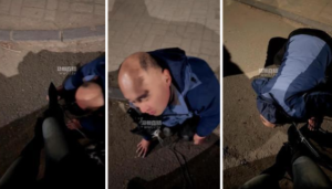 【心一】户外遛狗 -97LZTD-46783